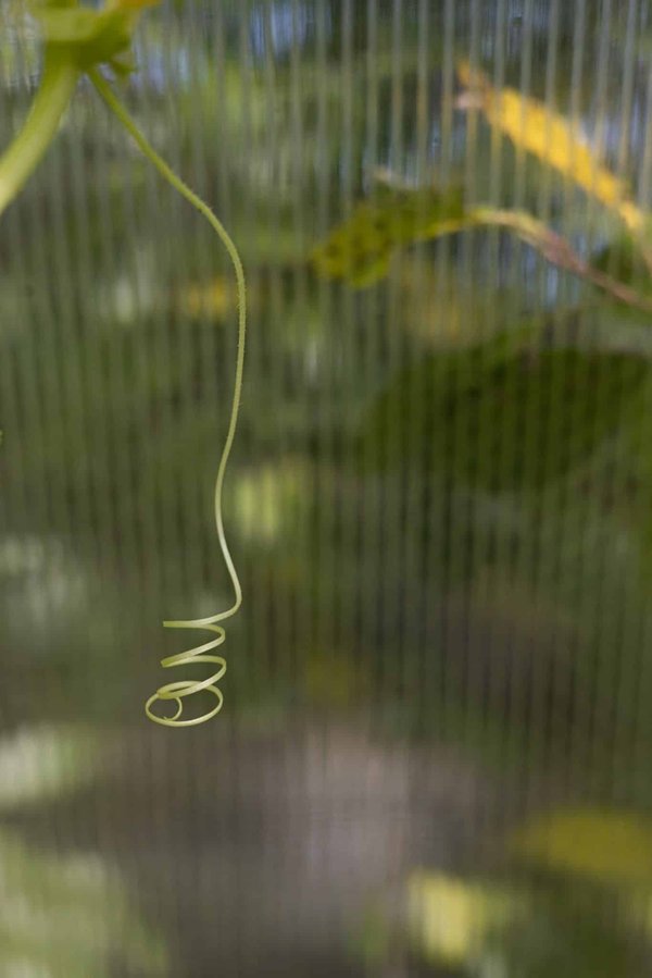 Quelles stratégies pour concevoir des niveaux de jeu qui adaptent leur difficulté en fonction des compétences du joueur ?